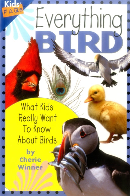 Everything Bird: What Kids Really Want to Know About Birds