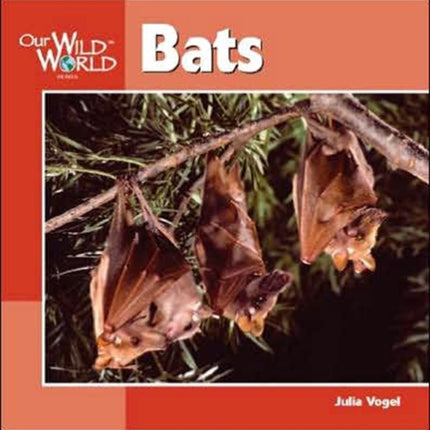 Bats