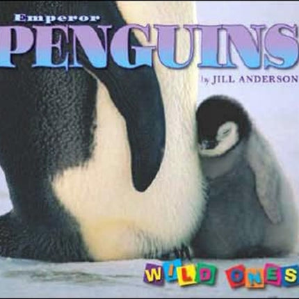 Emperor Penguins