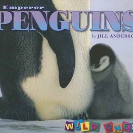 Emperor Penguins