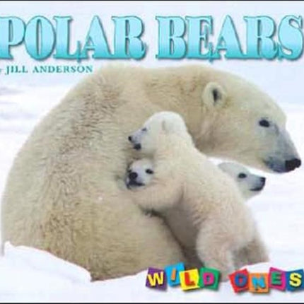 Polar Bears