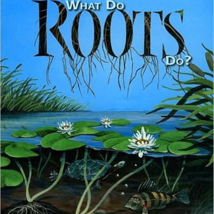 What Do Roots Do?