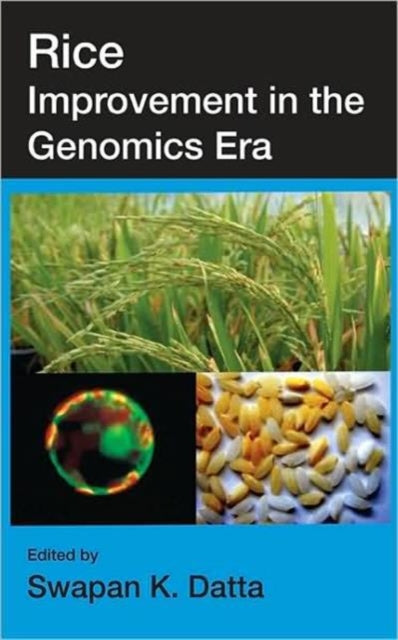 Rice Improvement in the Genomics Era