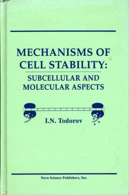 Mechanisms of Cell Stability: Subcellular and