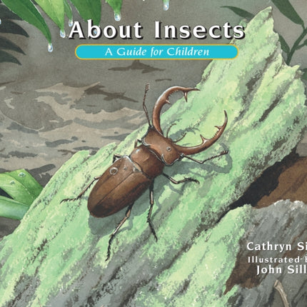 About Insects: A Guide for Children