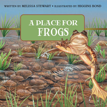 A Place for Frogs