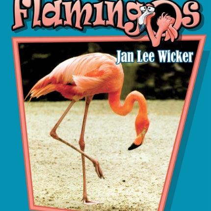 Those Funny Flamingos
