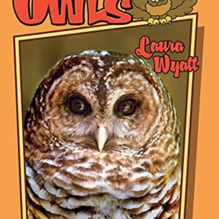 Those Outrageous Owls