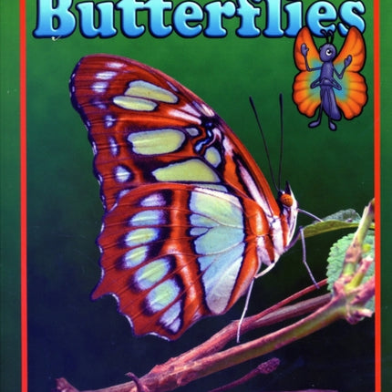 Those Beautiful Butterflies
