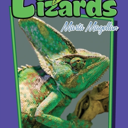 Those Lively Lizards