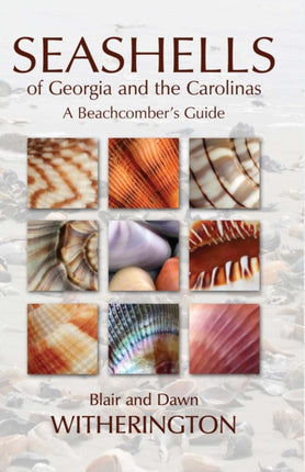 Seashells of Georgia and the Carolinas