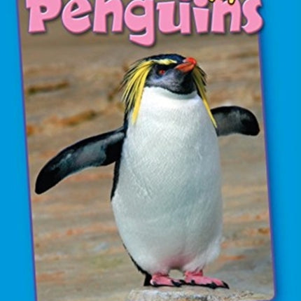 Those Perky Penguins