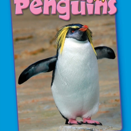 Those Perky Penguins