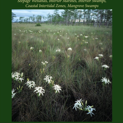 Florida's Wetlands
