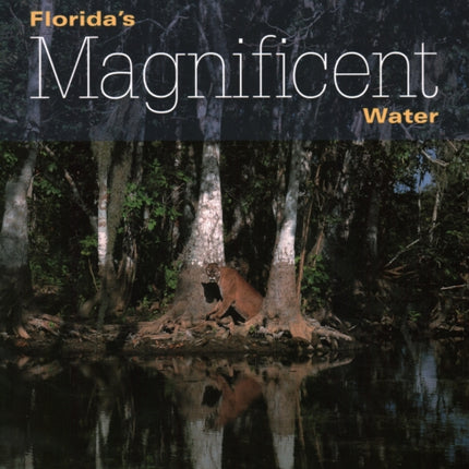 Florida's Magnificent Water