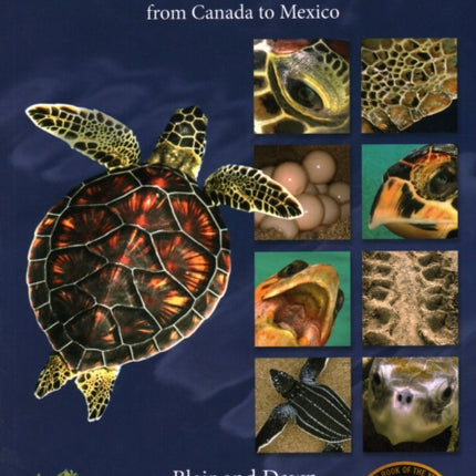 Our Sea Turtles: A Practical Guide for the Atlantic and Gulf, from Canada to Mexico