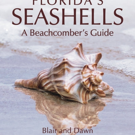 Florida's Seashells: A Beachcomber's Guide