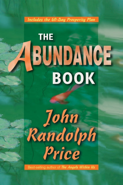 The Abundance Book