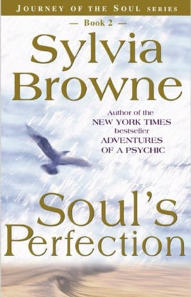Souls Perfection Journey of the Soul 02