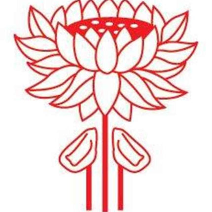 The Fifth Tiger: Study of Thai Development Policy