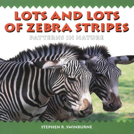 Lots and Lots of Zebra Stripes