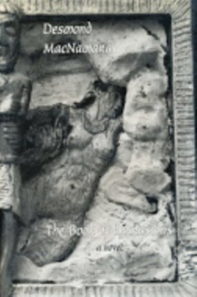 Book of Intrusions