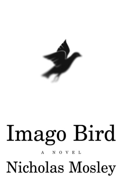 Imago Bird