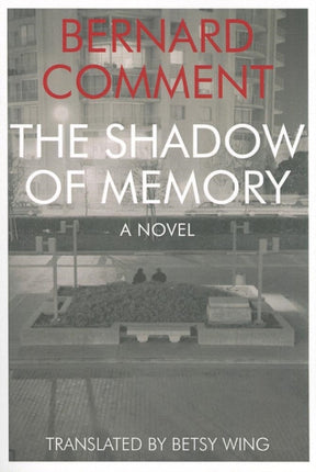 Shadow of Memory