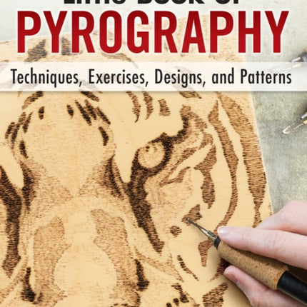 Little Book of Pyrography: Techniques, Exercises, Designs, and Patterns