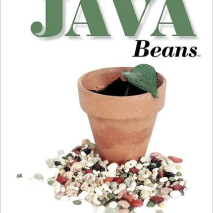 Developing Java Beans