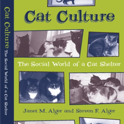 Cat Culture: The Social World Of A Cat Shelter