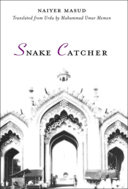 Snake Catcher