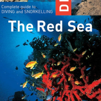 Dive the Red Sea: Complete Guide to Diving and Snorkeling