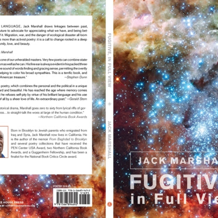 Fugitive, in Full View
