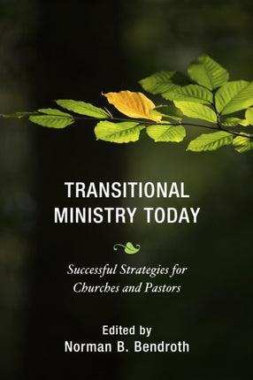 Transitional Ministry Today: Successful