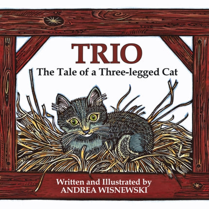 Trio: The Tale of a Three-Legged Cat