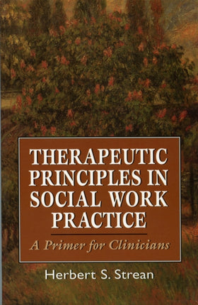 Therapeutic Principles in Social Work Practice: A