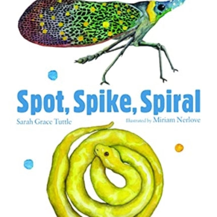 Spot, Spike, Spiral