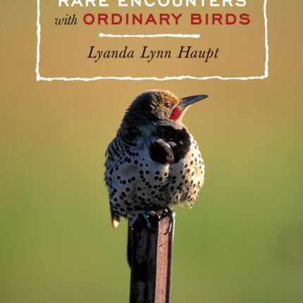 Rare Encounters with Ordinary Birds