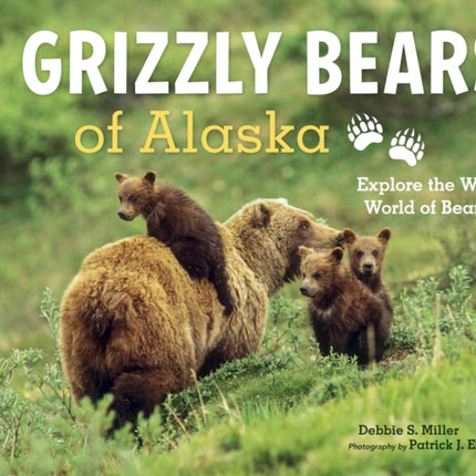 Grizzly Bears of Alaska: Explore the Wild World of Bears