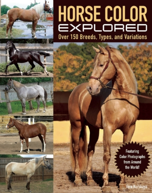 Horse Color Explored: Over 150 Breeds, Types, and Variations