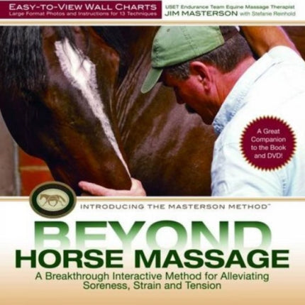 Beyond Horse Massage Wall Chart