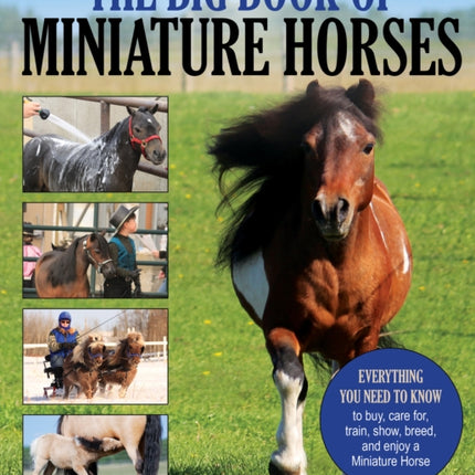 The Big Book of Miniature Horses: Everything You Need to Know to Buy, Care For, Train, Show, Breed, and Enjoy a Miniature Horse of Your Own