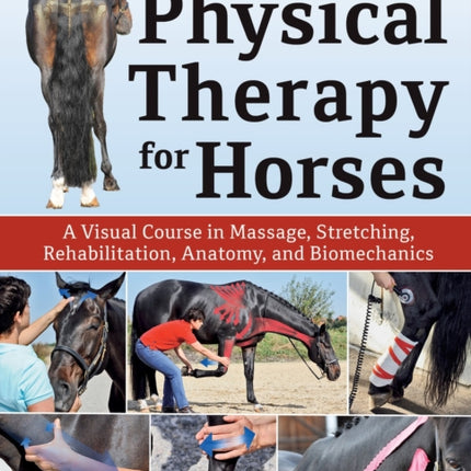 Physical Therapy for Horses: A Visual Course in Massage, Stretching, Rehabilitation, Anatomy, and Biomechanics