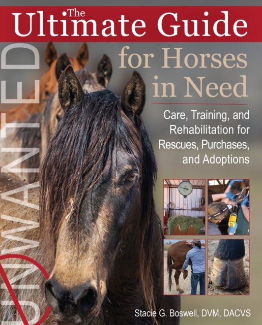 The Ultimate Guide for Horses in Need Care Training and Rehabilitation for Rescues Purchases and Adoptions