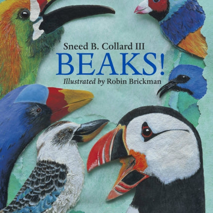 Beaks!