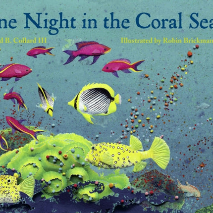 One Night in the Coral Sea