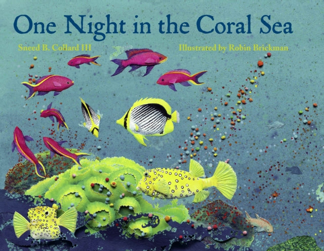 One Night in the Coral Sea