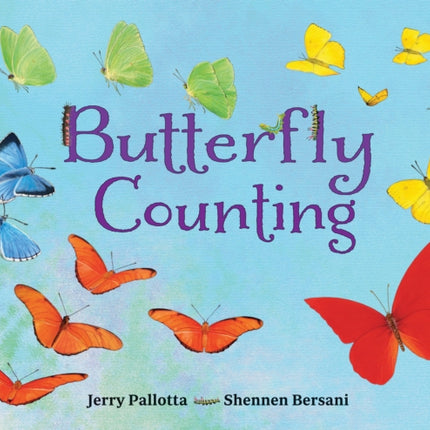 Butterfly Counting