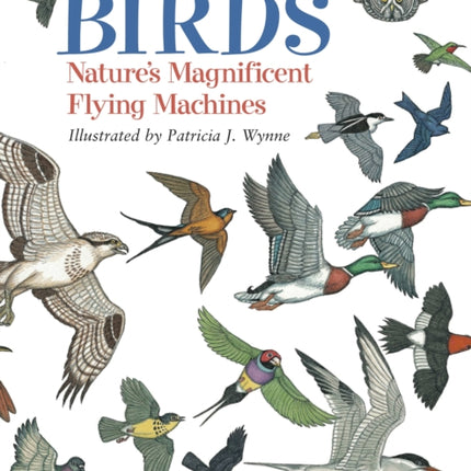 Birds: Nature's Magnificent Flying Machines